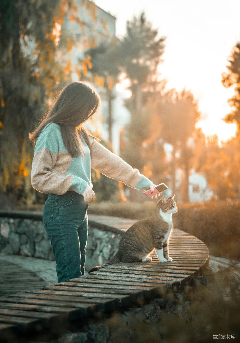 高清摄影  身穿蓝色直筒牛仔裤的女人正抱着一只白和棕色的猫。