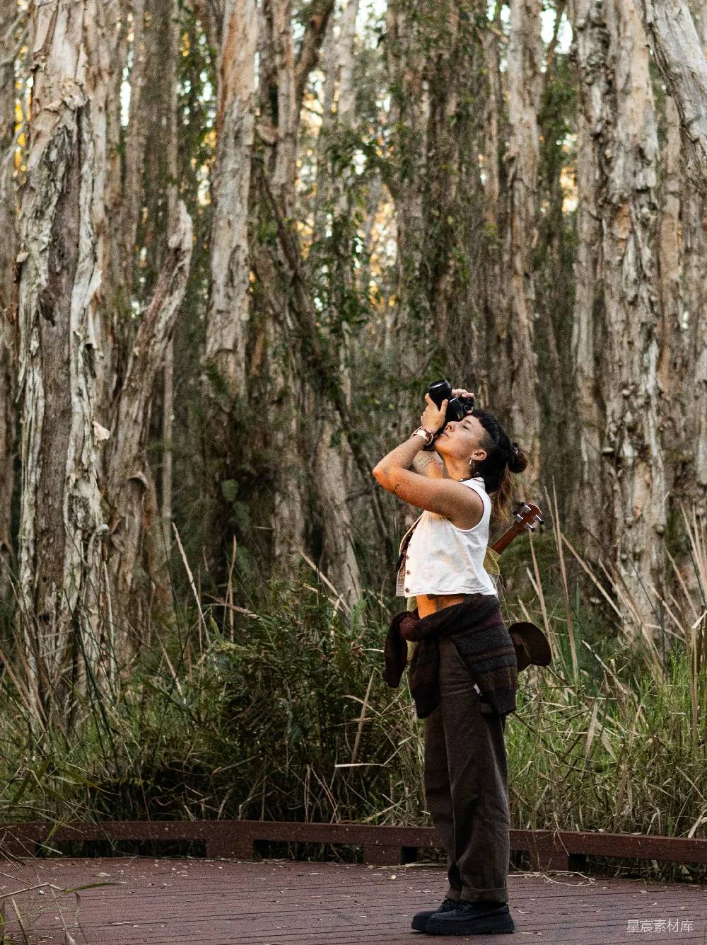 高清摄影  一个妇女在茂密的森林里拍照。