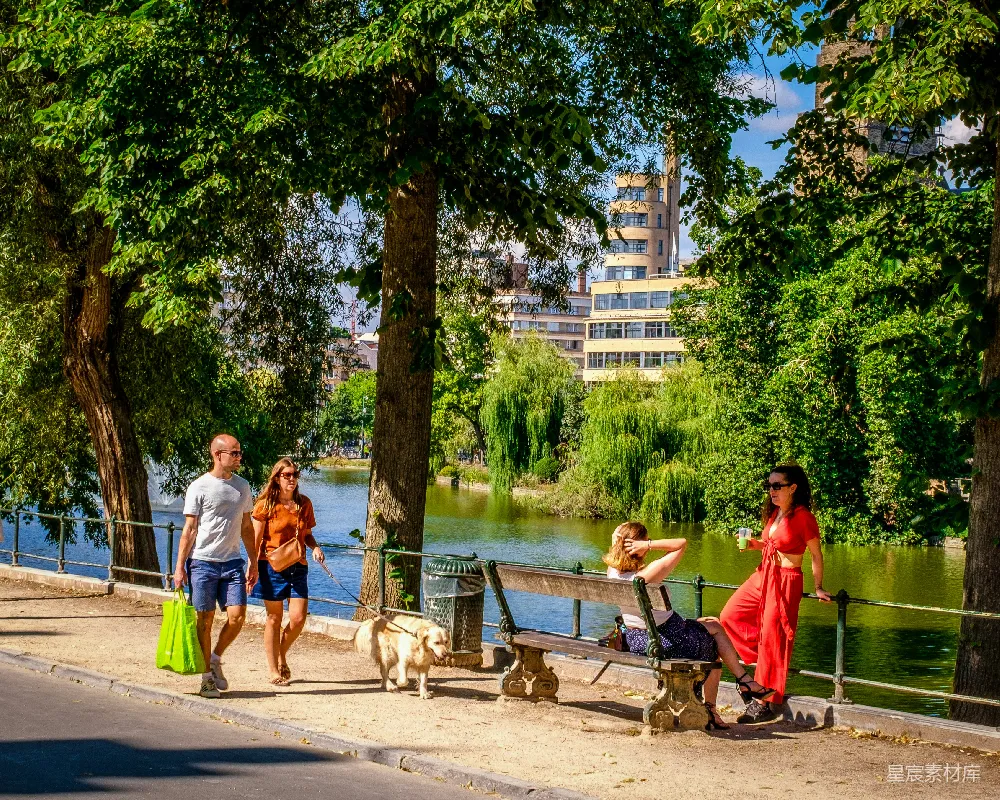 高清摄影 人们在湖边遛狗，背景是建筑物。