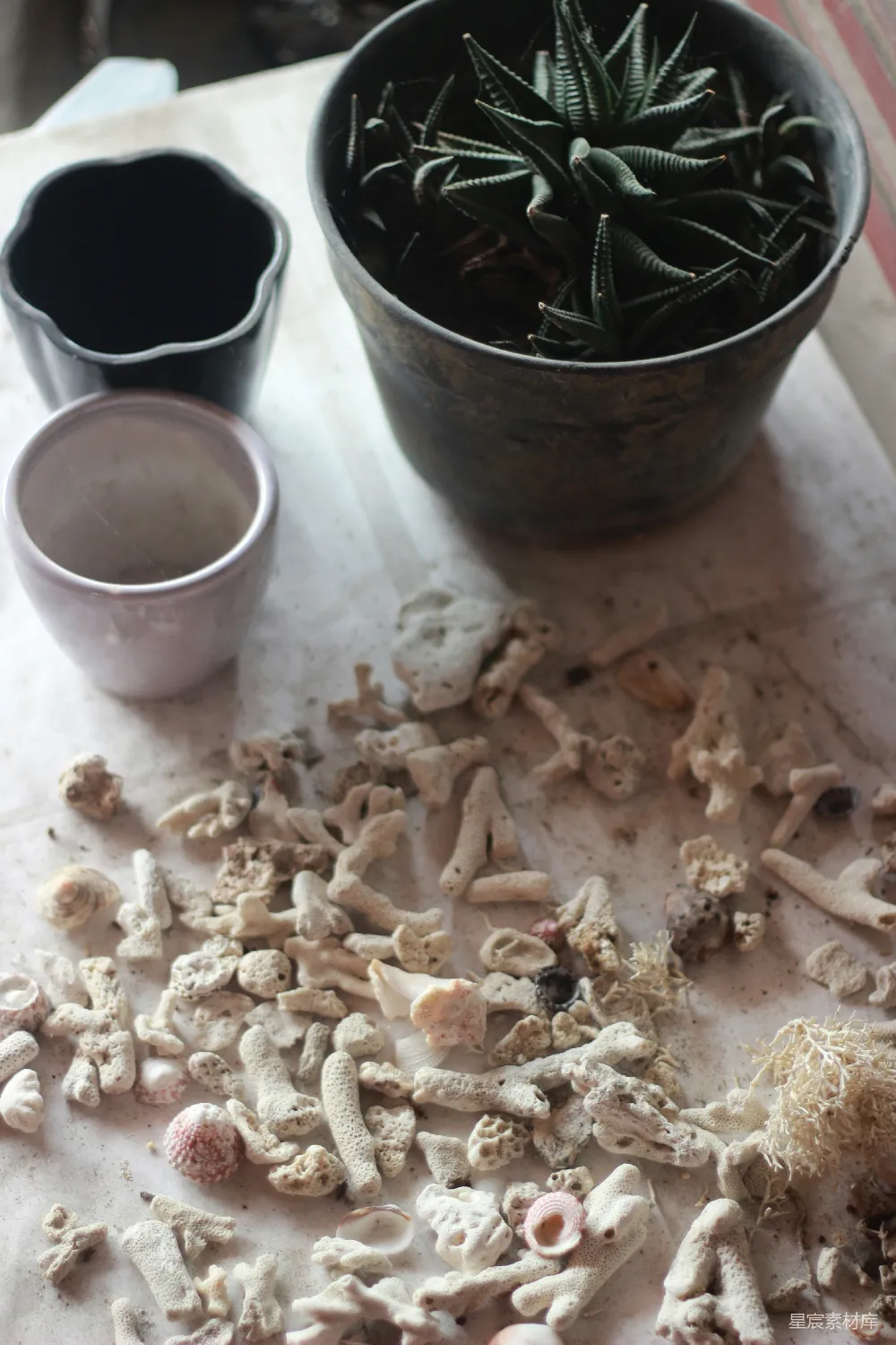 高清摄影  棕色的干叶堆积在棕色的木桶中