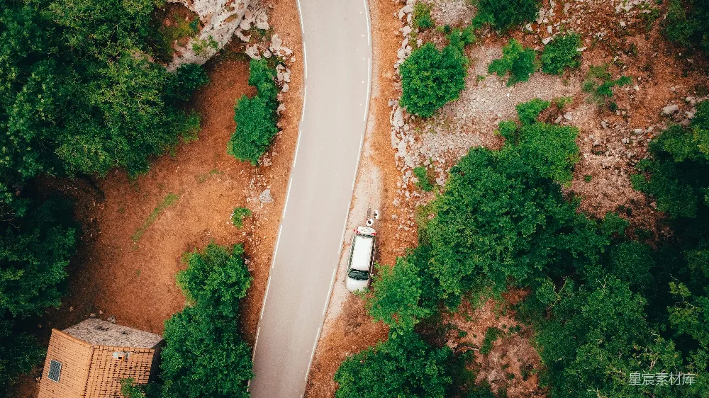高清摄影 一棵树和一栋建筑的道路