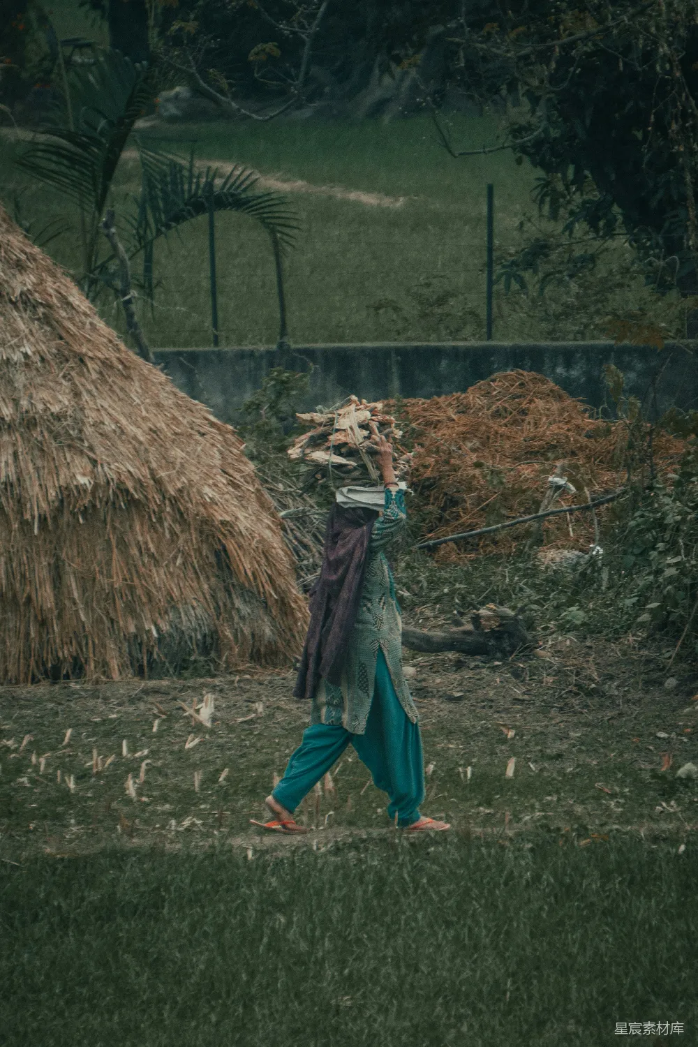 高清摄影  一个女人背着木头走在路上。