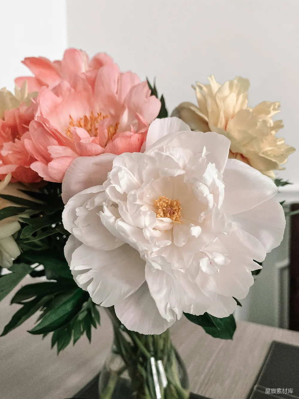 高清摄影  一束花