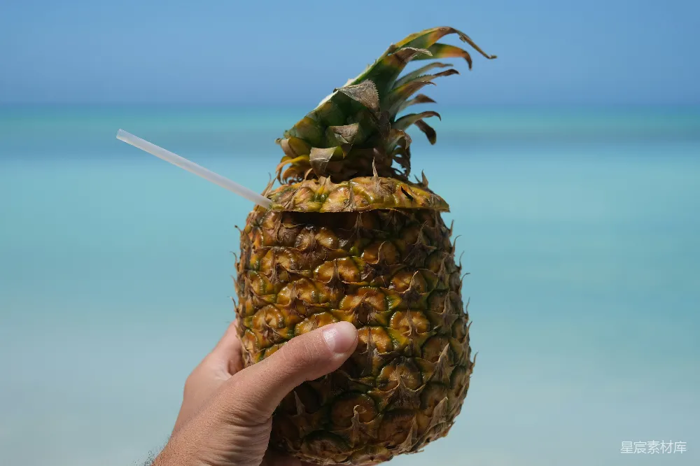 高清摄影  一只手拿着菠萝