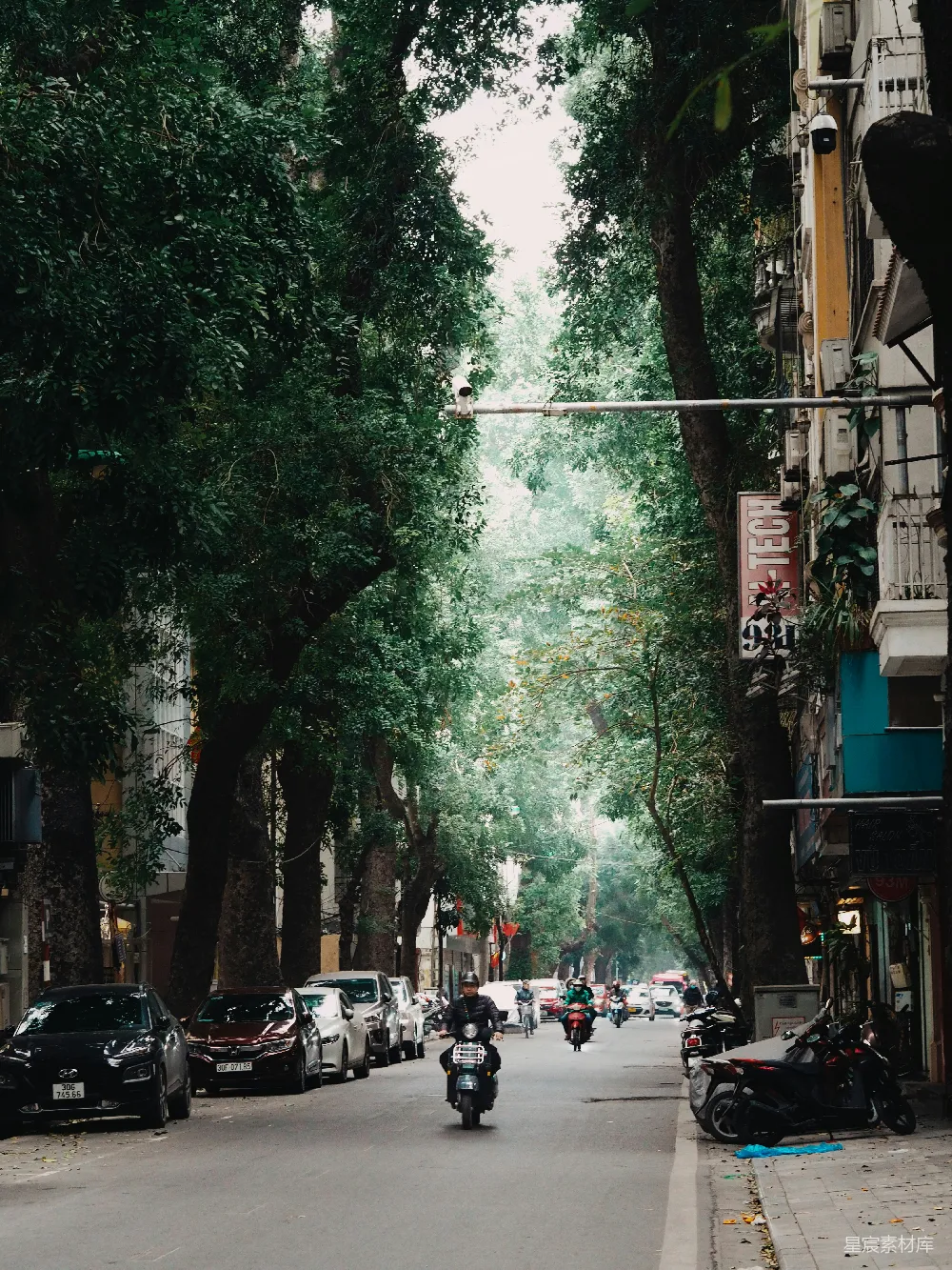 高清摄影  一个骑摩托车的人在一条树影婆娑的小街上行驶。