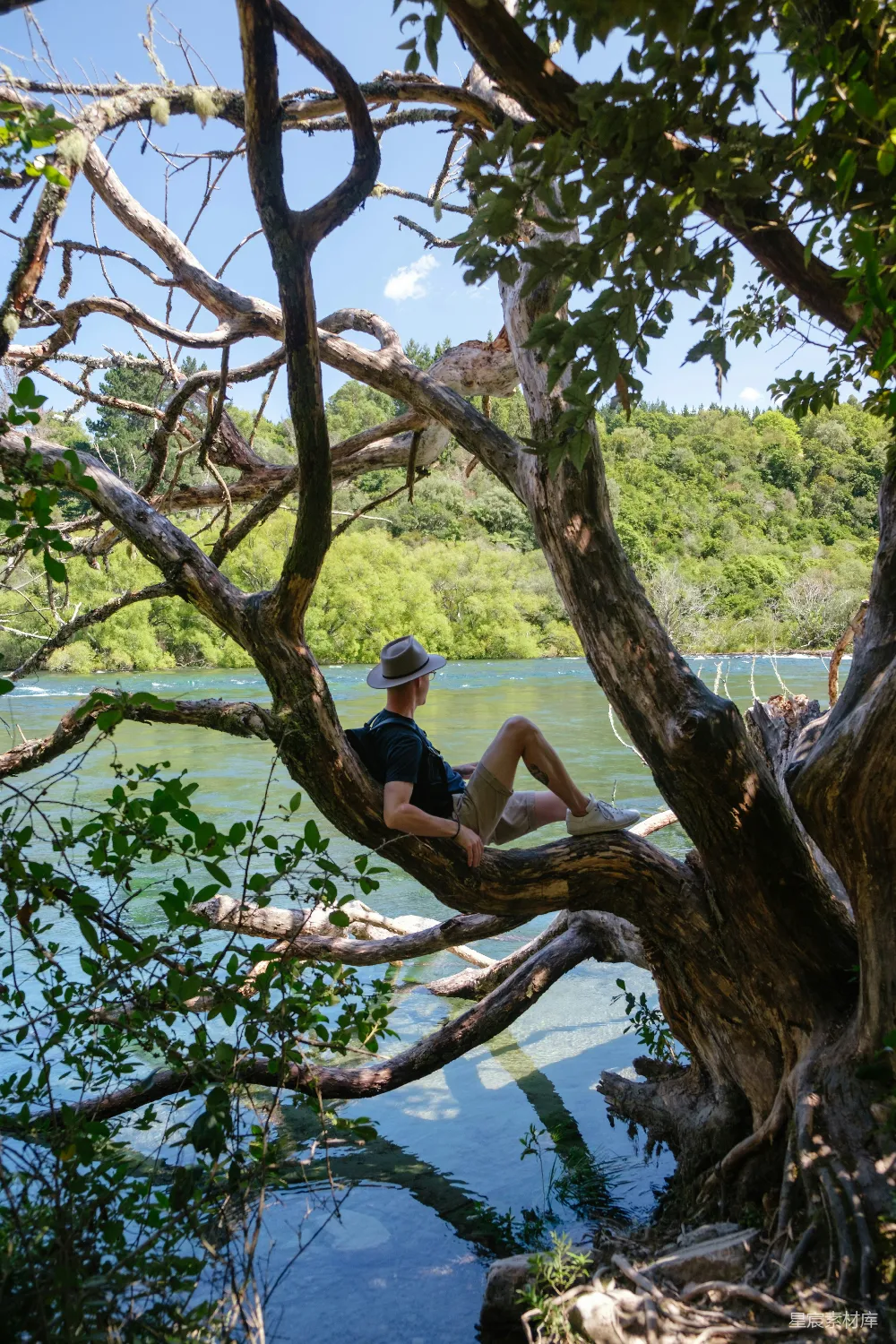 高清摄影 旅行 自然 人物 身穿蓝色T恤的男人在白天坐在树干上。