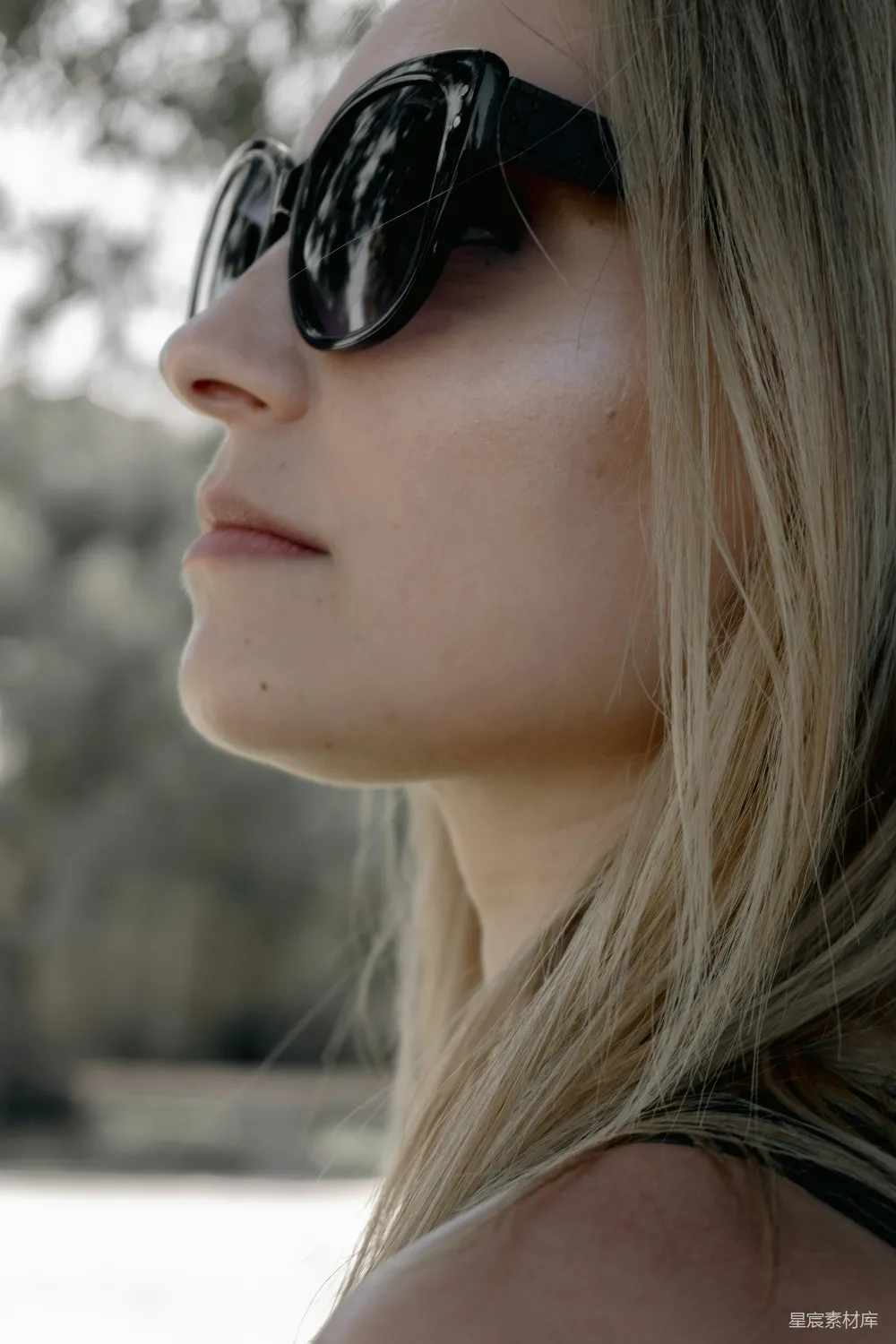 高清摄影 blonde头发的女人戴着太阳镜侧(profile)视图。