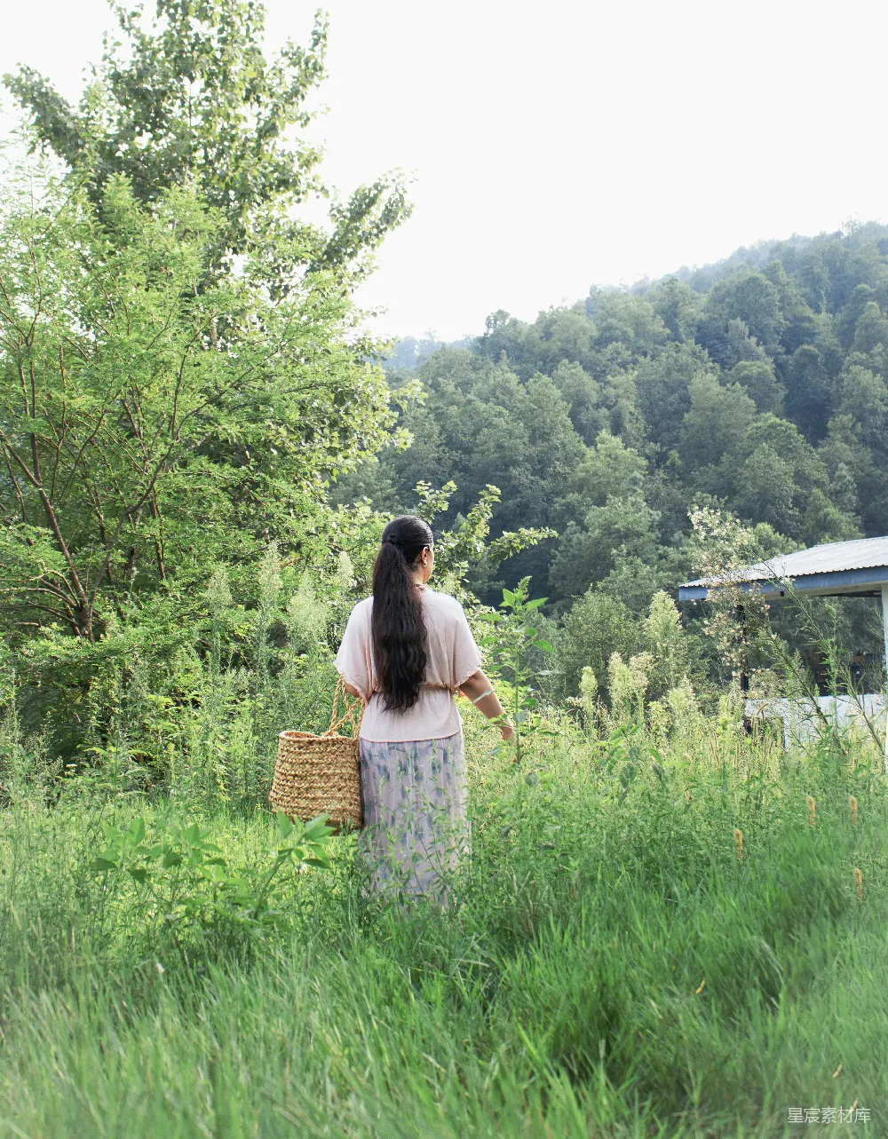 高清摄影 春天 人物 电影 一个女人穿过一片繁茂的绿草地