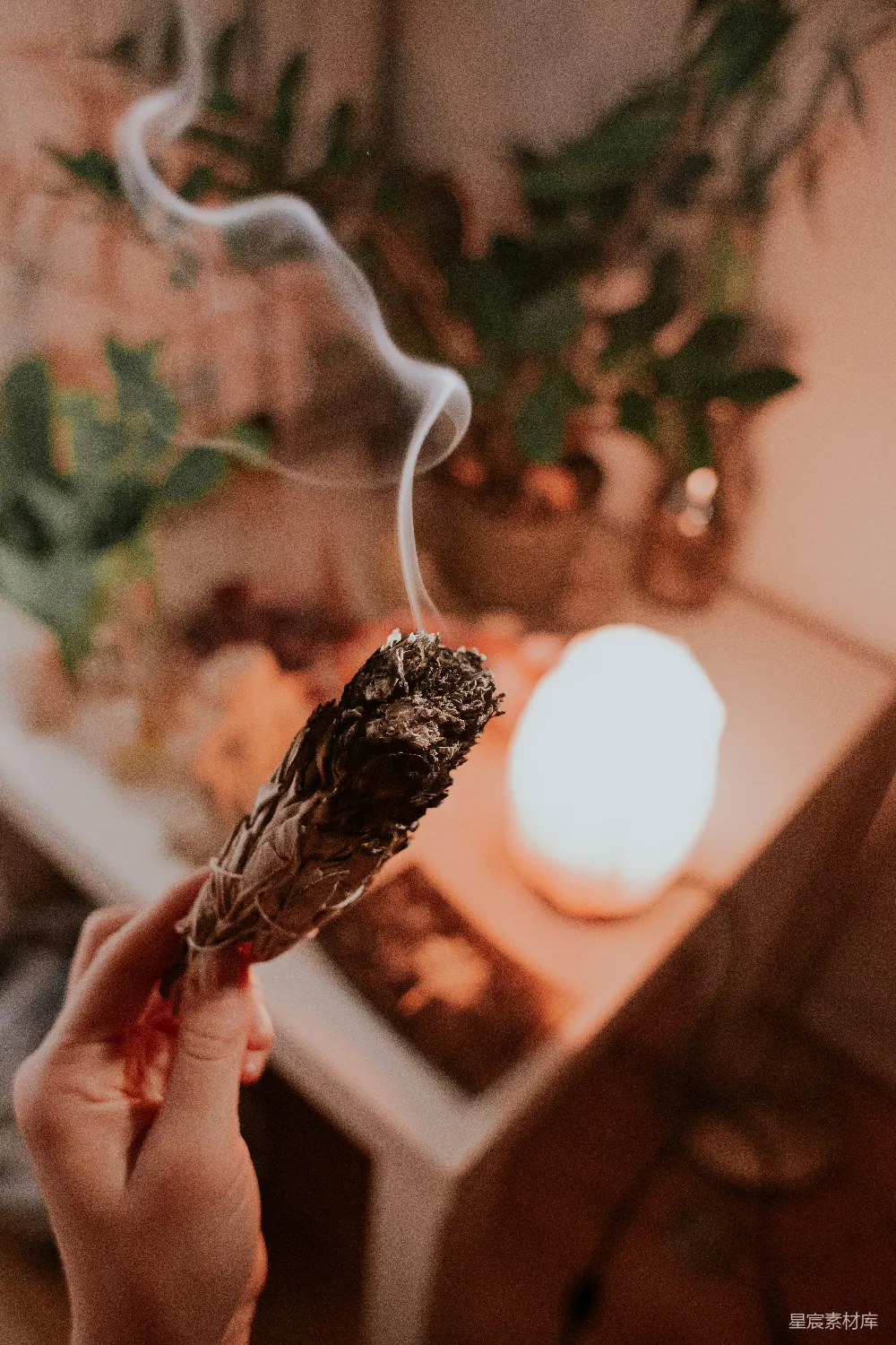 高清摄影  棕色烟草