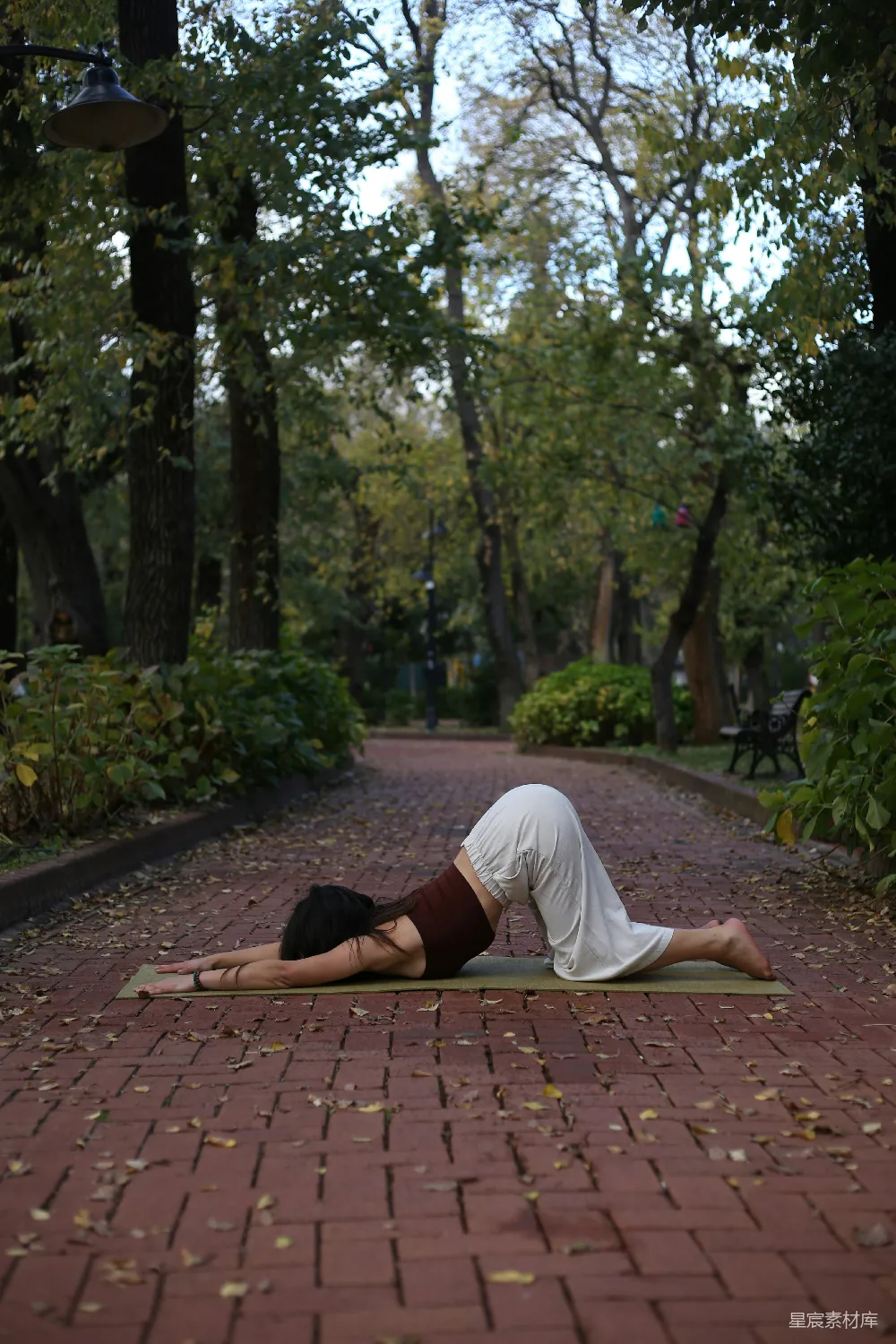 高清摄影  一个女人躺在一条砖砌小径上的背部。