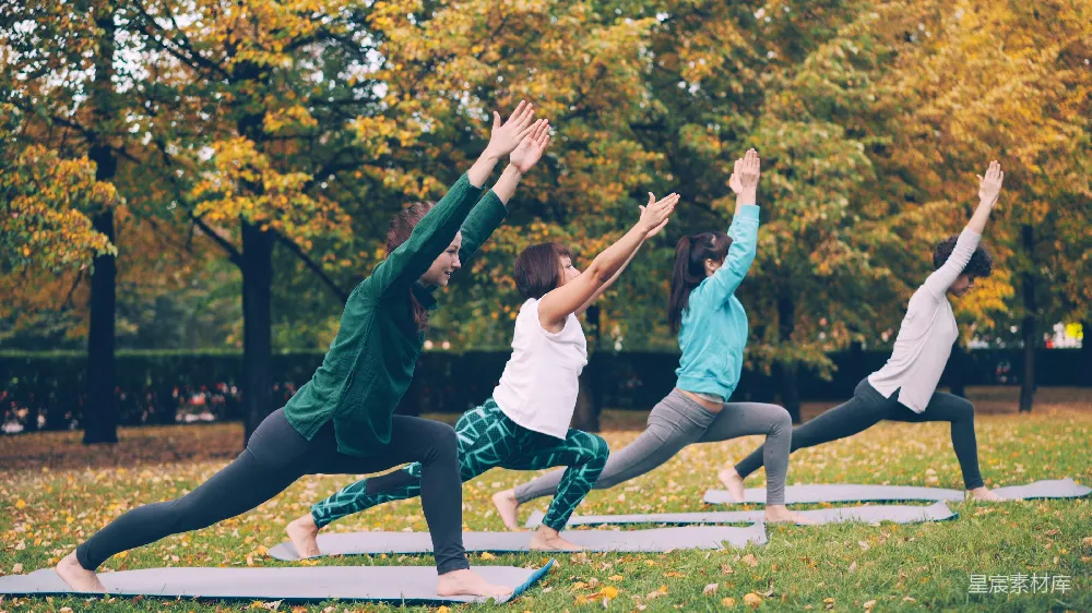 高清摄影  四人在秋天的公园里练习瑜伽。