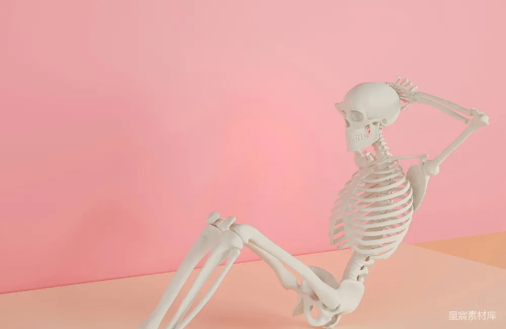 高清摄影 一个 Skeleton 坐在粉色表面的后面