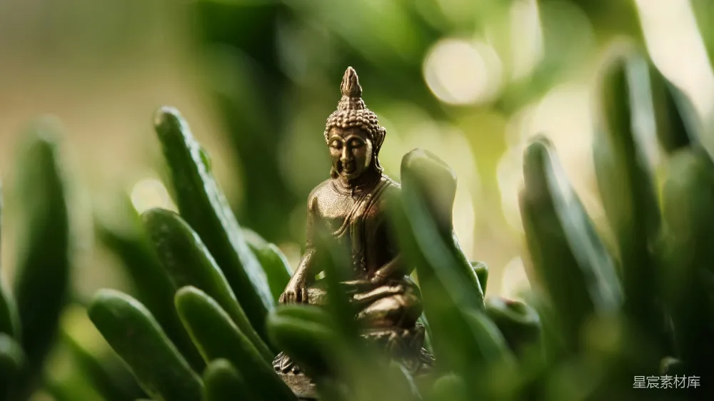 高清摄影 一尊小 Buddha 像坐在一些草中间