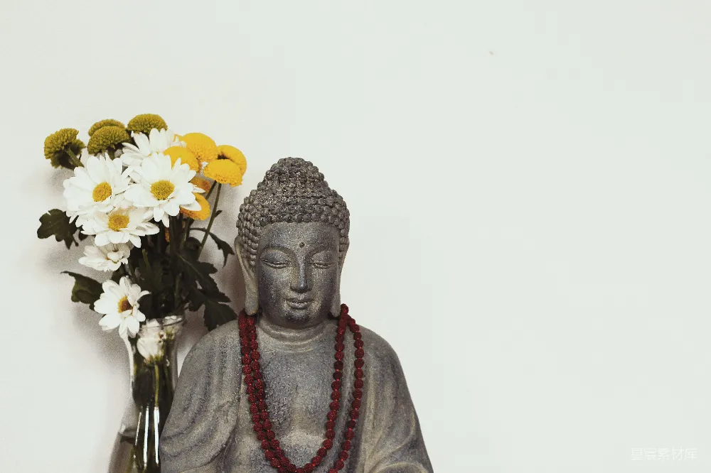 高清摄影 花瓶中的花靠近佛像