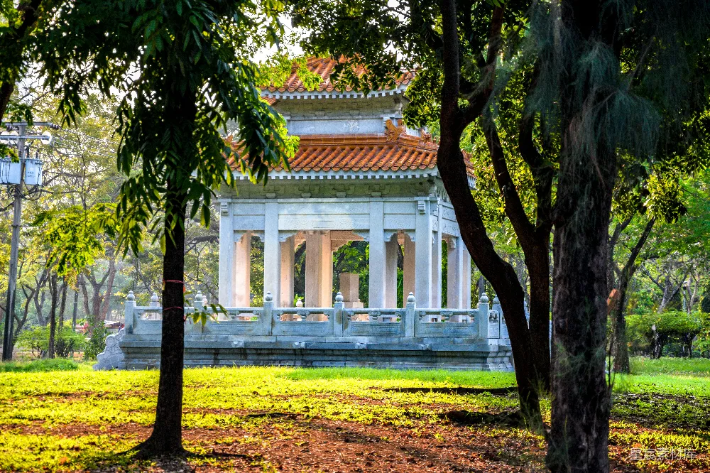 高清摄影 白天近绿色树木的白色混凝土建筑