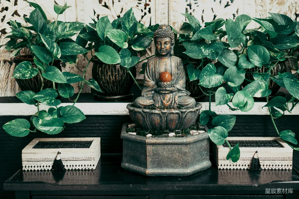 高清摄影 佛像前有植物的雕像