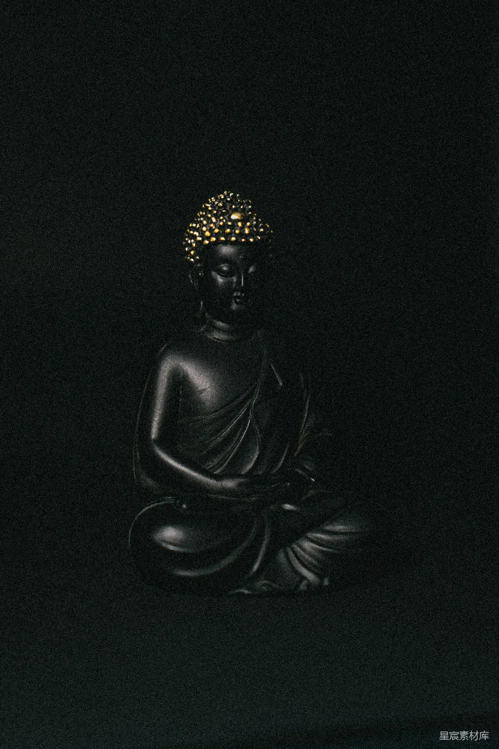 高清摄影 黑金佛像 figurine