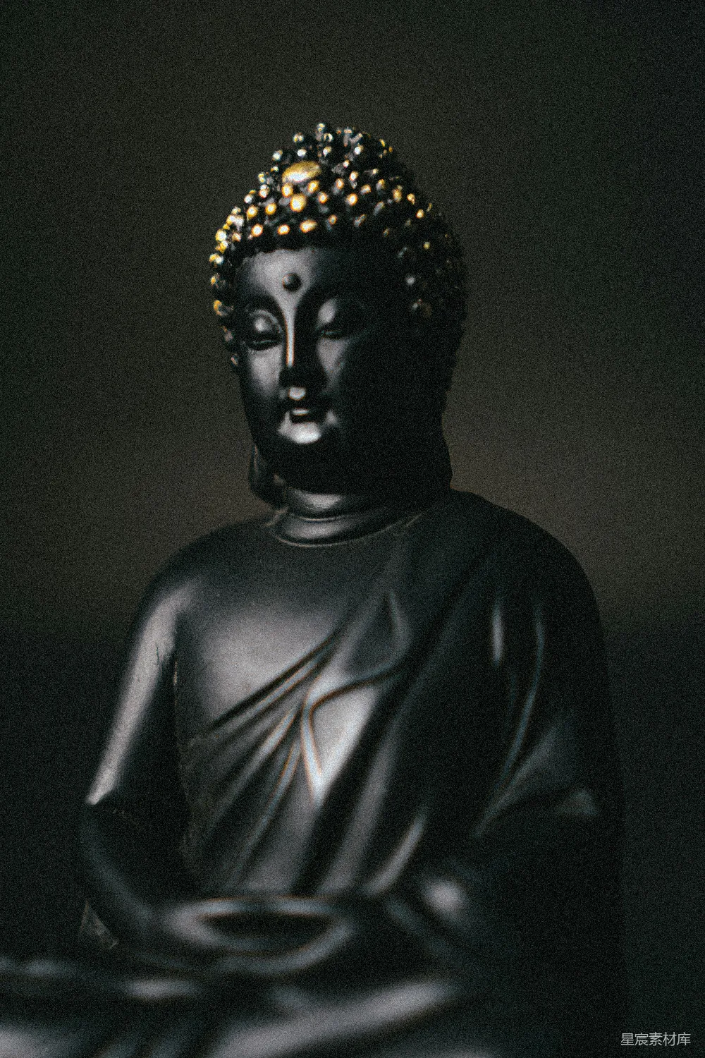 高清摄影  黑金佛像