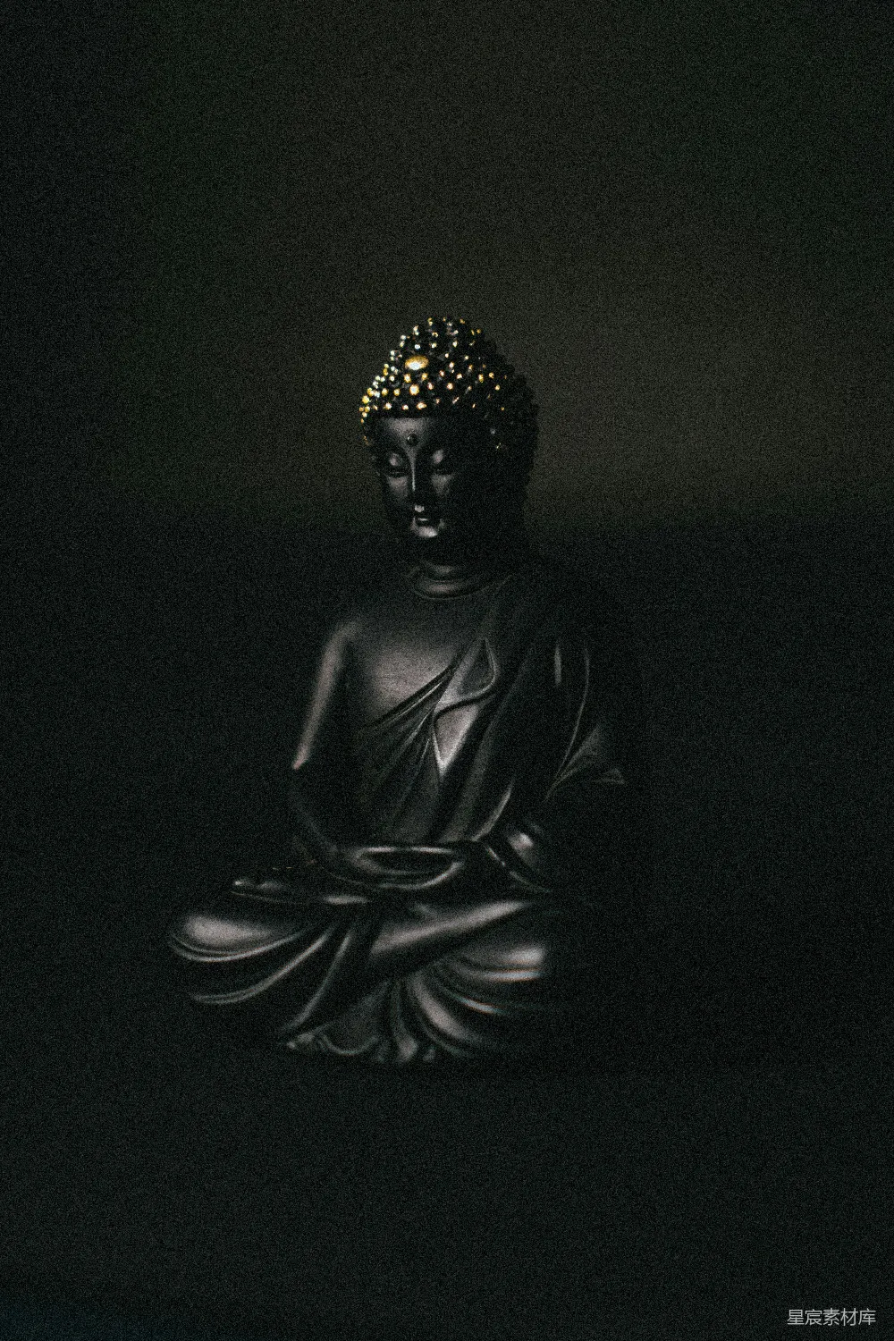 高清摄影 黑金佛陀雕像