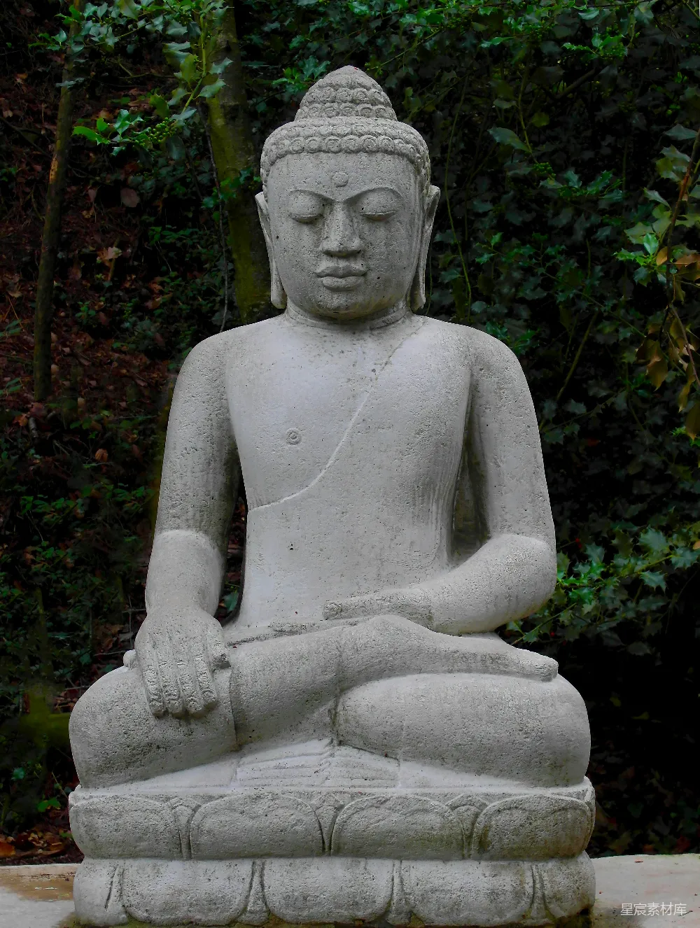 高清摄影 一棵佛 statue 坐在 中间 一片 林子