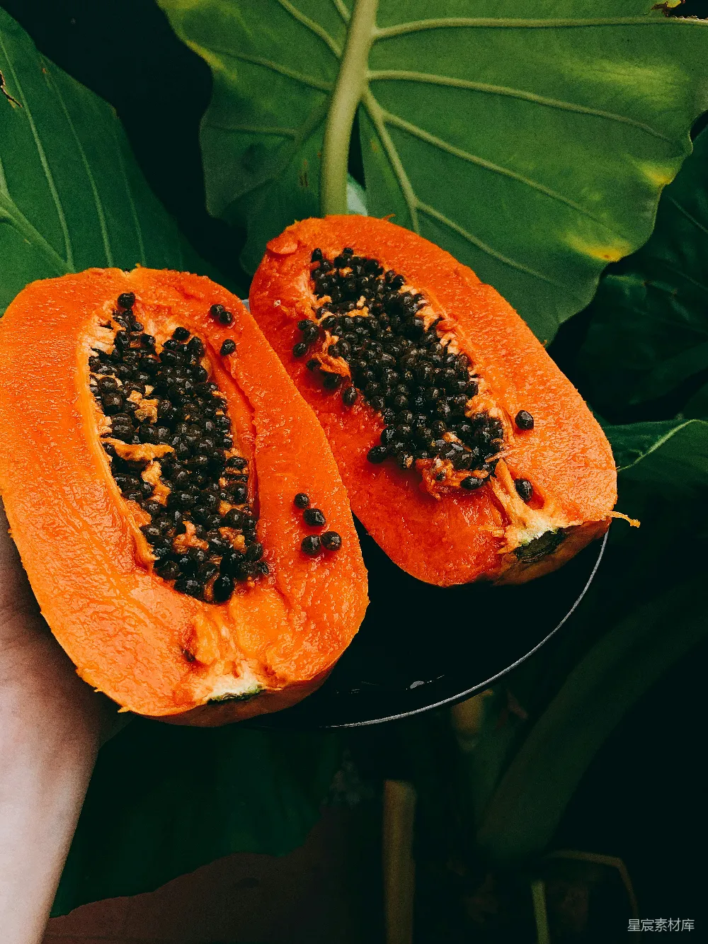 高清摄影 切片的木瓜果肉