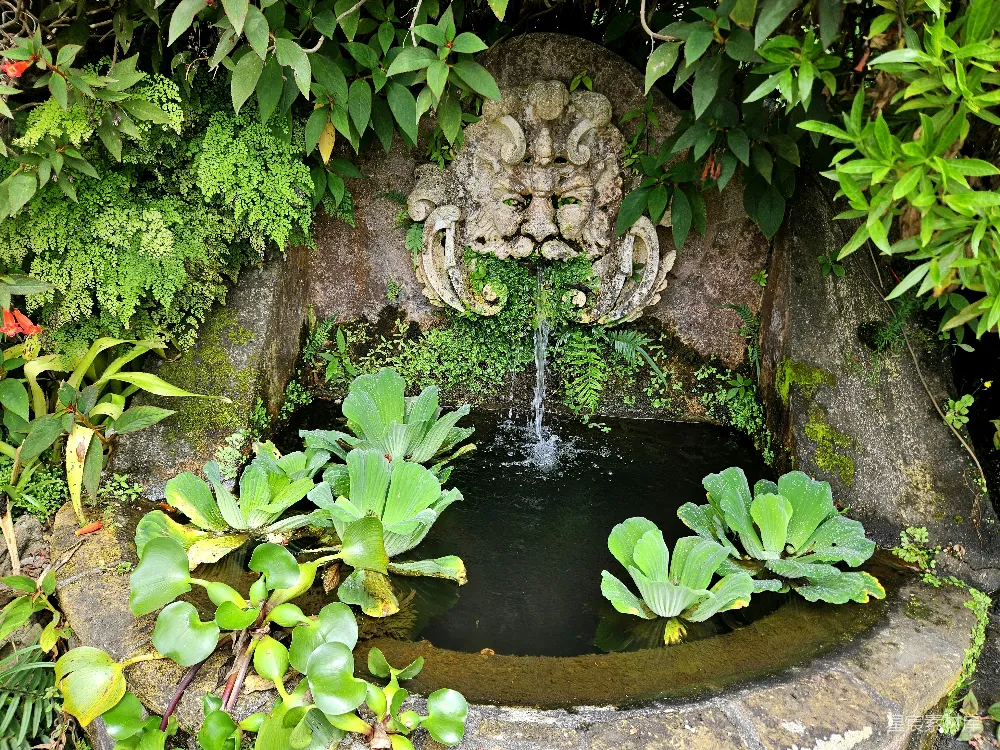 高清摄影 一个被绿植环绕的小池塘和一座雕塑
