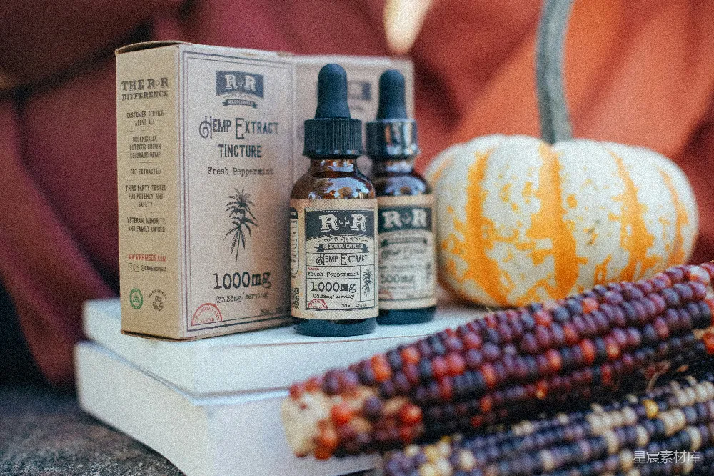 高清摄影 南瓜和玉米的照片