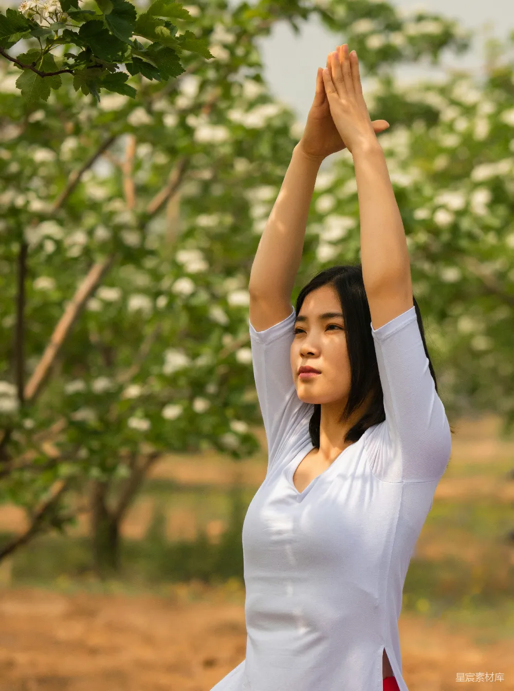 高清摄影 女性做瑜伽