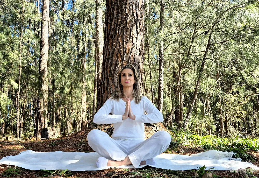 高清摄影 一个女人坐在森林中间做瑜伽。