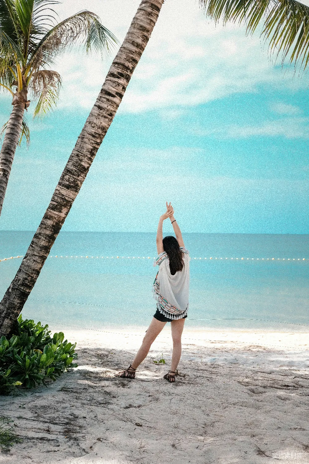 高清摄影  女人站在海边的绿椰子树下
