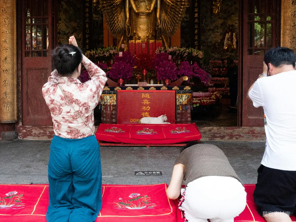高清摄影 人们在一座大佛像前祈祷。