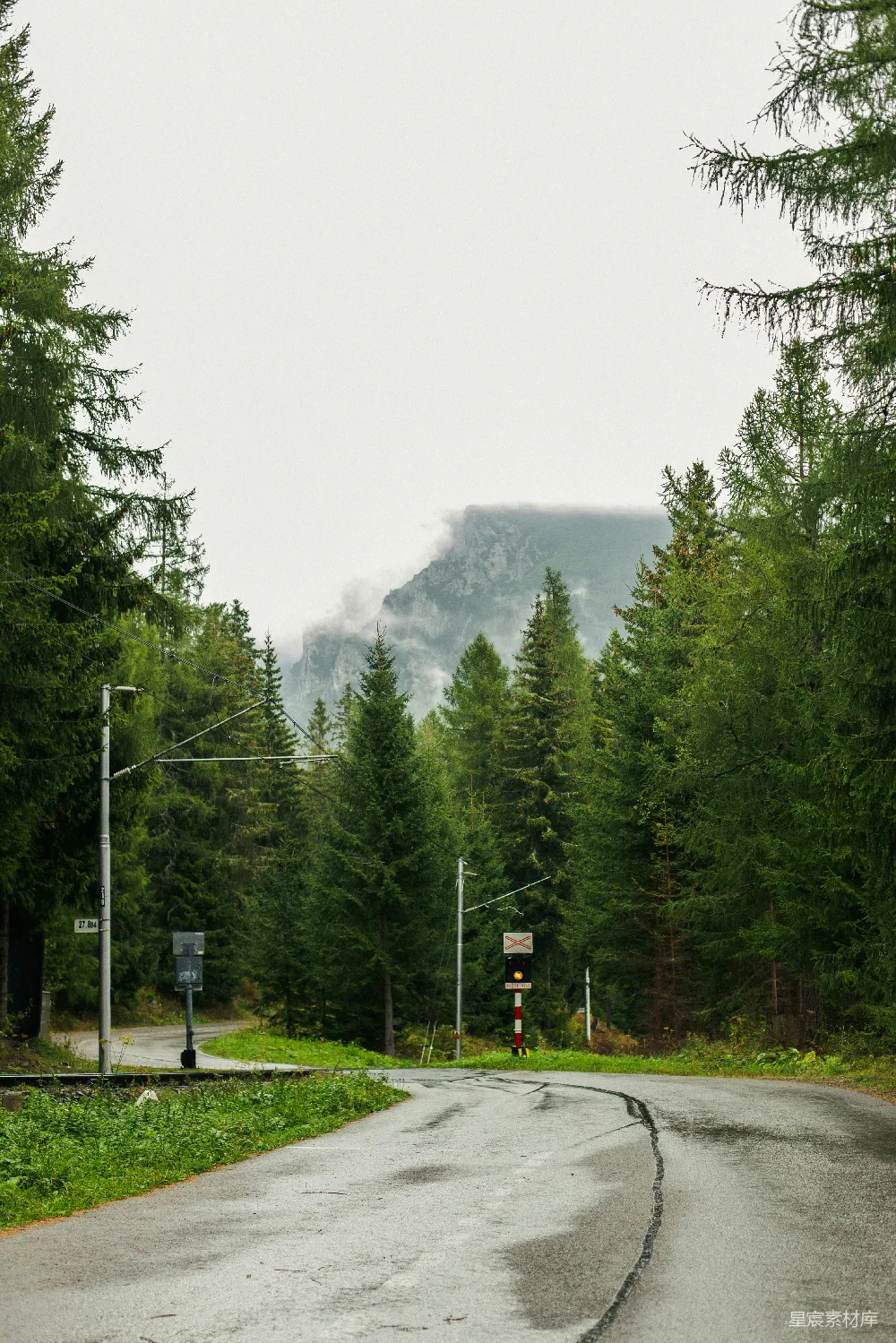 高清摄影 自然 森林中一条路，背景是山峰。