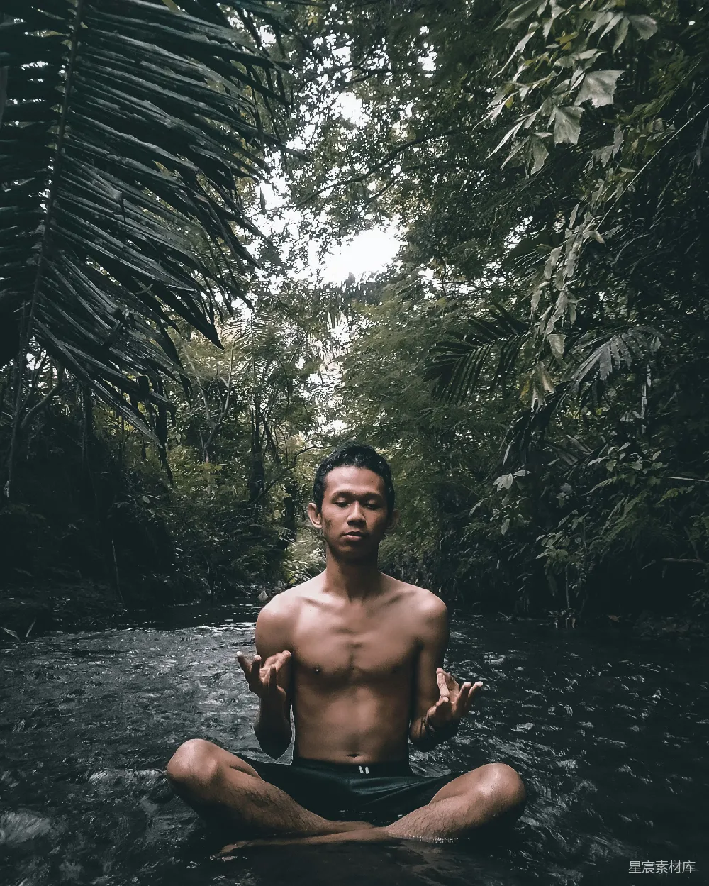 高清摄影 裸体的男人坐在近绿色树叶树丛的水边，白天。
