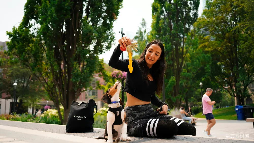 高清摄影 地上坐着一位妇女和一只狗。