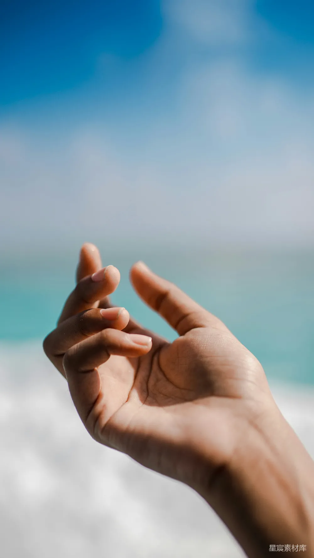 高清摄影  人的右手