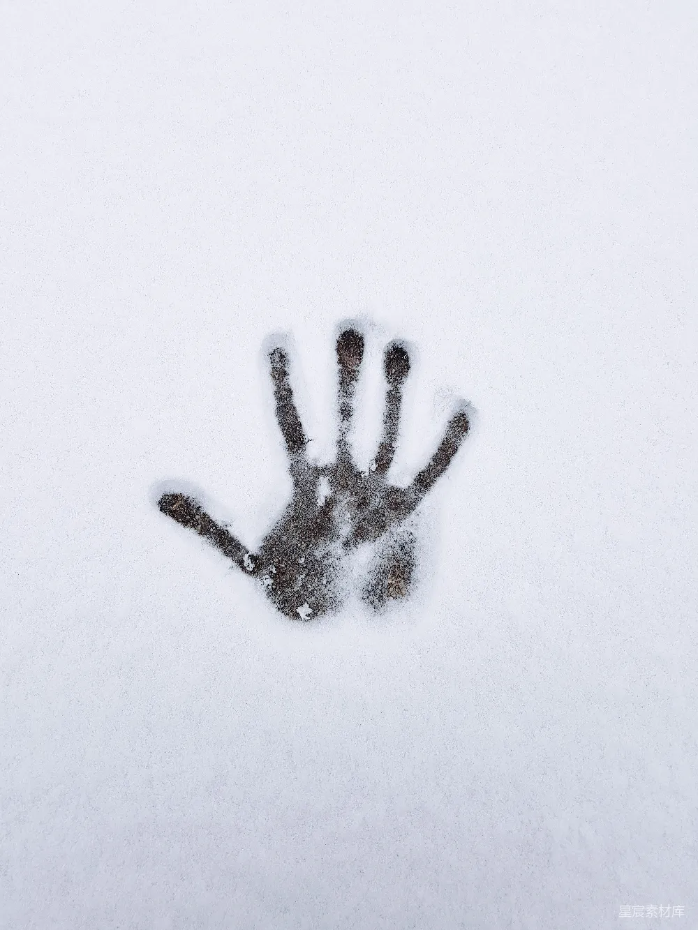 高清摄影 手掌按在雪上