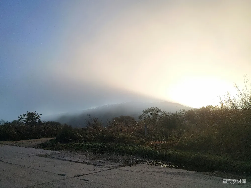 高清摄影  白天绿色树木近灰色混凝土路