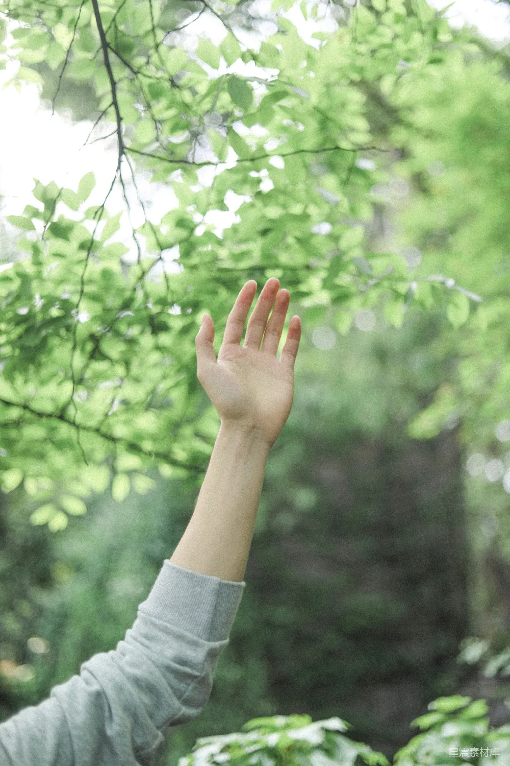 高清摄影 白色长袖衫的人手持绿叶在白天