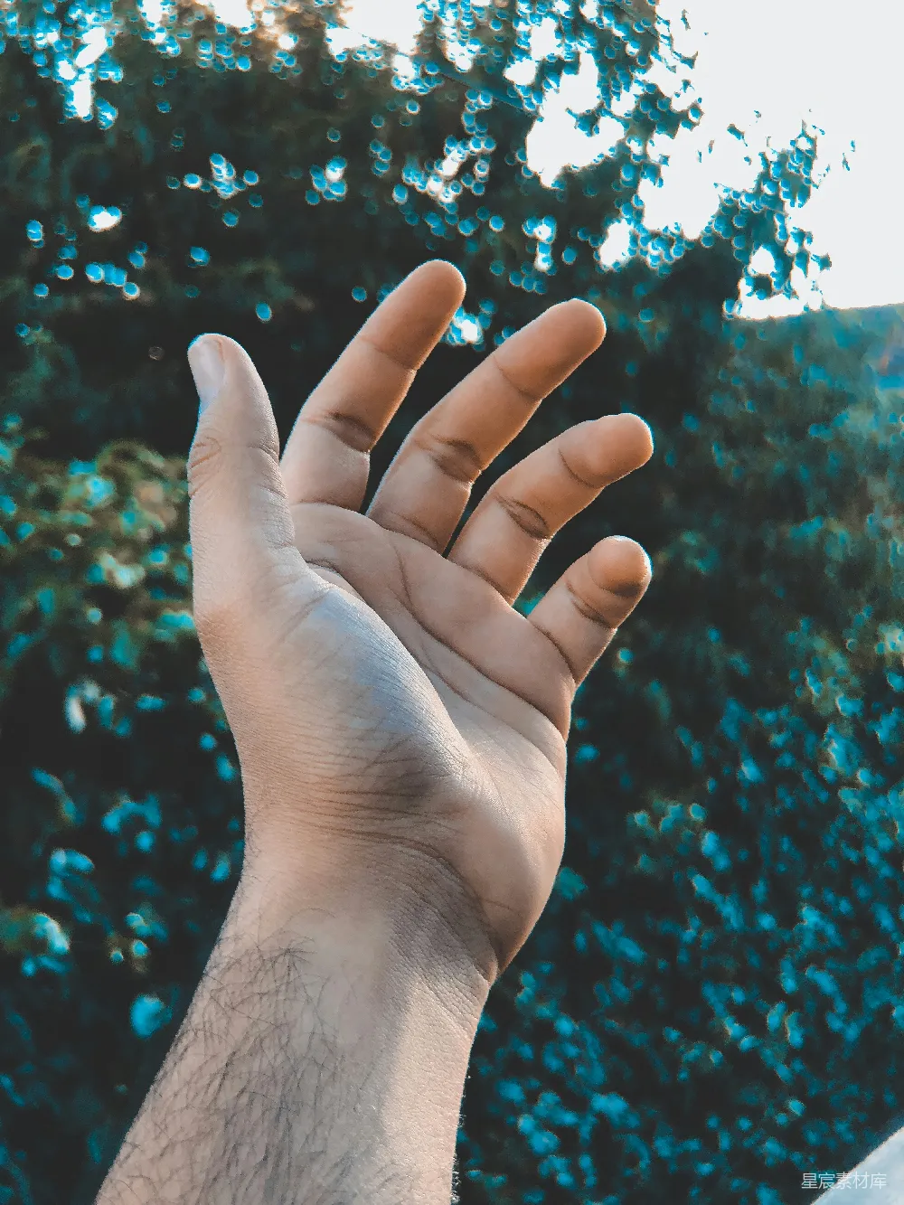 高清摄影  人的左手