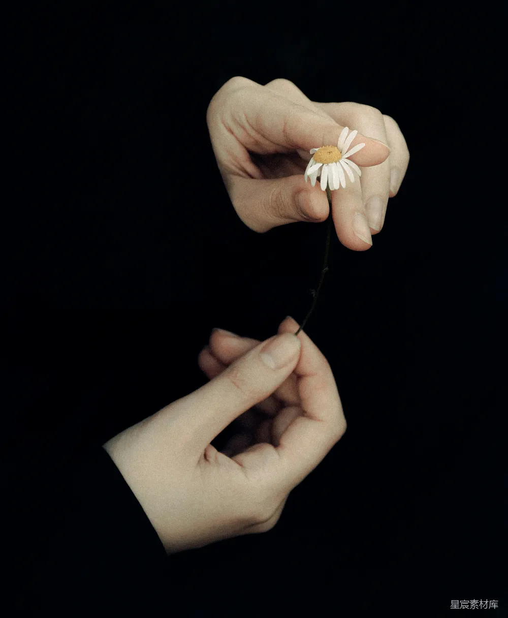 高清摄影 黑暗房间中持有一束白色花朵的人