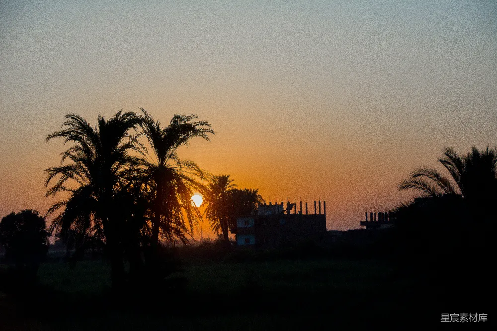 高清摄影 夕阳下的树影轮廓