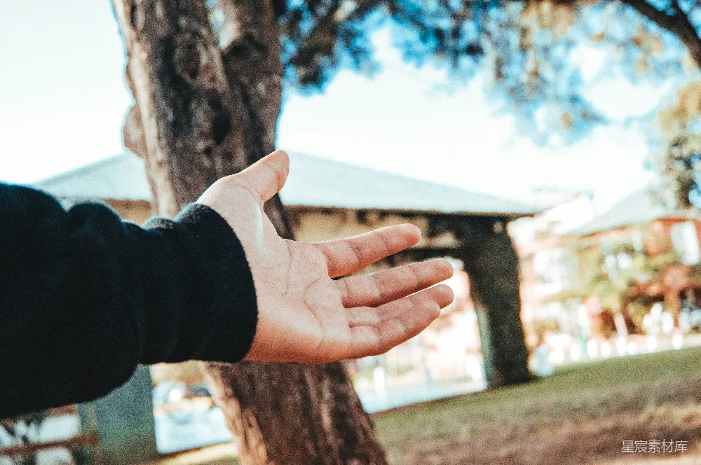 高清摄影 一个人伸出双手在树前