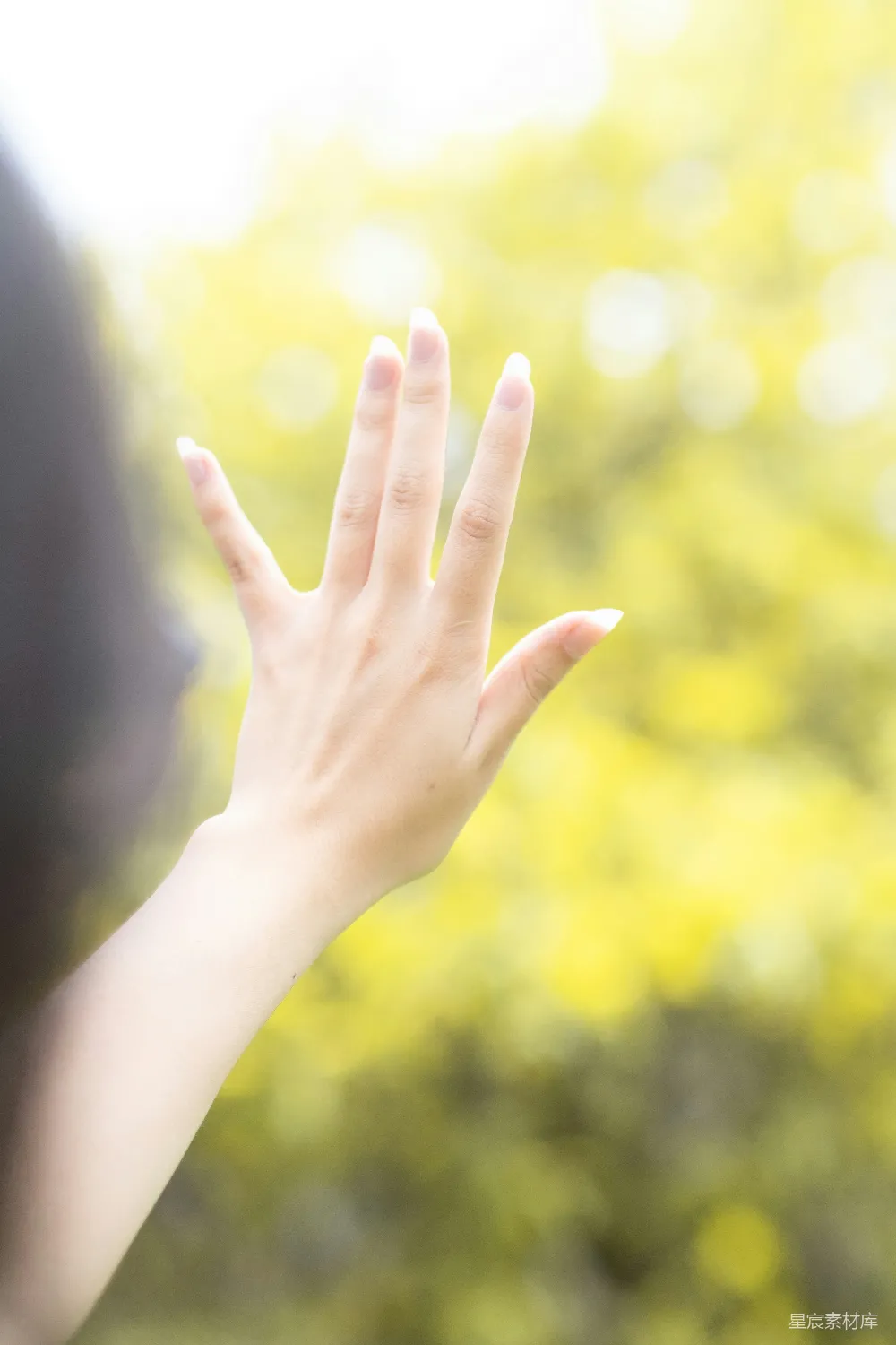高清摄影 一位女性举手放在空中