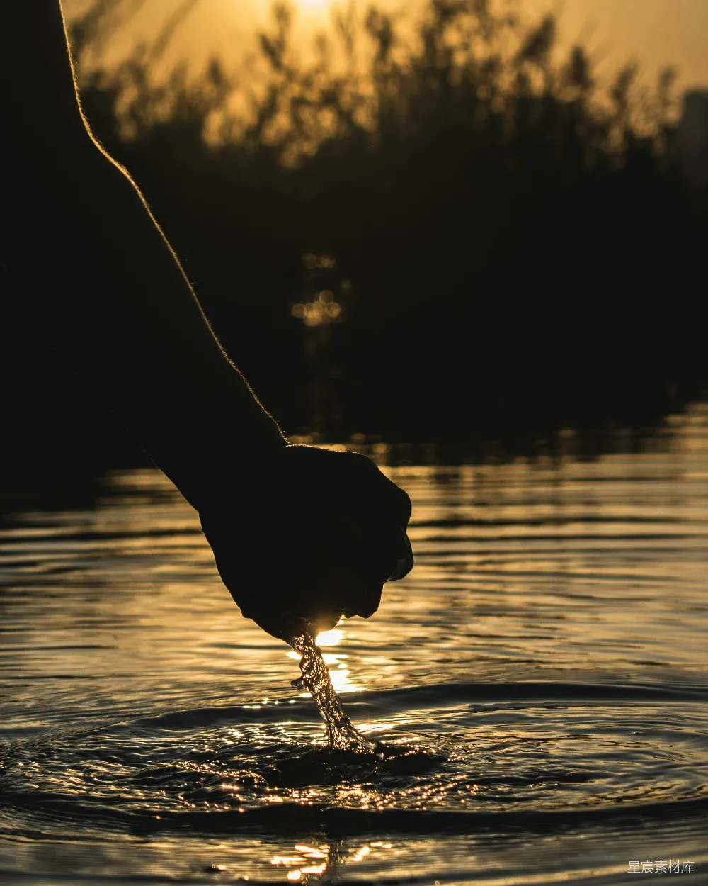 高清摄影 夕阳下，人身上的鸟影轮廓