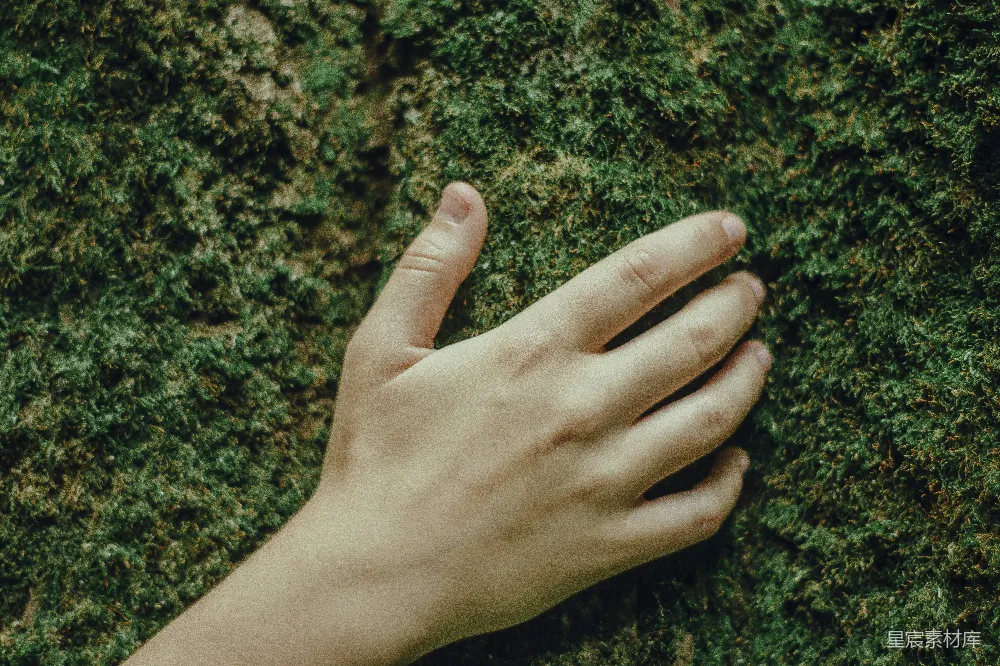 高清摄影 正确的人手按在苔藓上