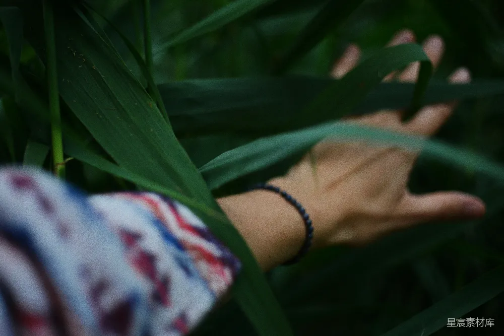 高清摄影 手伸向草丛中的某物