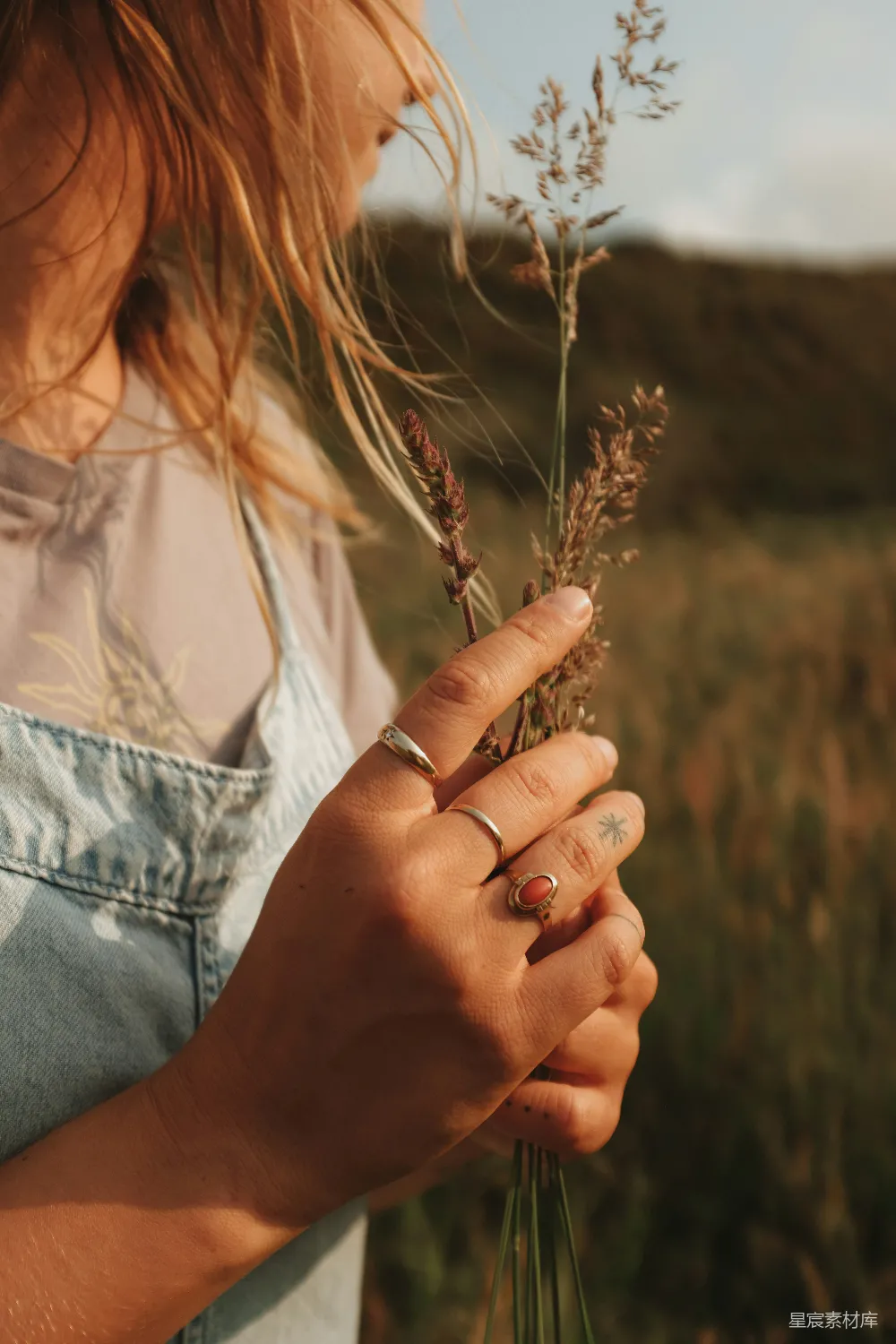 高清摄影 一个女人手里拿着一盆植物