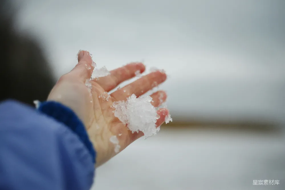 高清摄影 一个手里伸出的手掌上覆盖着雪