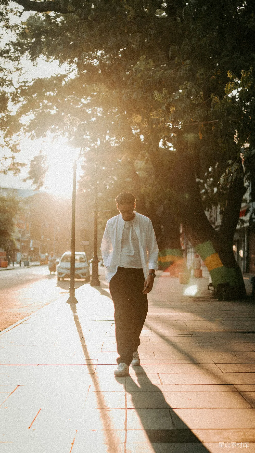 高清摄影 一个男人在树旁边的小路上行走