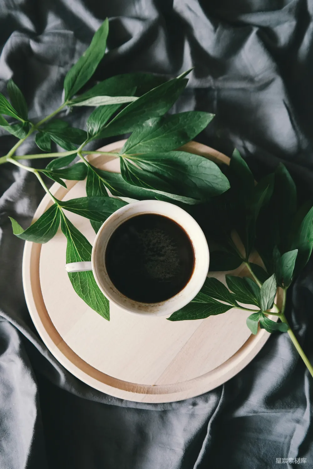 高清摄影 白瓷 mug 靠近 绿叶